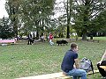 img 062